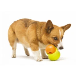 Zogoflex Toppl - Treat Toy -Honden Benodigdheden 0cJe9jR88p4kg2k2eS0t6102tBKRW4 metaVG9wcGwtaG9uZC16bC5qcGc