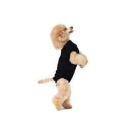Suitical Recovery Suit Hond - Zwart 26 Suitical Recovery Suit Hond - Zwart -Honden Benodigdheden 110af23eff5774a4baf1645241a40fcd6618f258cba0bc51b6276d6a97df4728 3