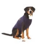 Medical Pet Shirt Hond -Honden Benodigdheden 168712b464eacd32ef0ae49d7af9c1d4c302bc0d207cb92f9bac4818409a23e8 5