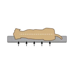 Beeztees 2-in-1 Ligkussen -Honden Benodigdheden 2minxKCswFmzFTXuyJvHWhCE6LQvXi metaQmVlenRlZXMtTWVtb3J5LUZvYW0tVW1hLUhvbmRlbm1hbmQtb3J0aG9wZWRpc2NoLTIuanBn