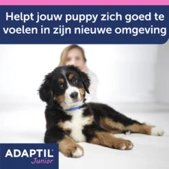 Adaptil Halsband - Junior -Honden Benodigdheden 3gIEoBqQiP1u6QnSYa9iRNNOP2PfnQ metaQWRhcHRpbC1KdW5pb3ItY29sbGFyLUNhcm91c3NlbC0yLmpwZw