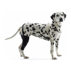Kruuse Rehab Kniebeschermer -Honden Benodigdheden 41383ae8768183a322116cb942aa60280996b520e778e8f77e894c2f075c6f91 3