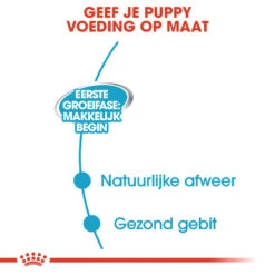 Royal Canin Starter Mousse Mother & Babydog - Hondenvoer -Honden Benodigdheden 4BbNtC7cXKeUzenCJB06d6YBi6Fpcj metaUm95YWwtQ2FuaW4tU3RhcnRlci1Nb3Vzc2UtTW90aGVyLSYtQmFieWRvZ18wMi5qcGc