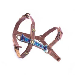 DWAM Hondentuigje Boho Juan -Honden Benodigdheden 4a136a178673ebb6998174c8da4d58d21714564dd3a8bc41f3efa5480e657e5d 3