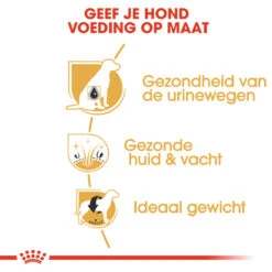 Royal Canin Bichon Frisé Adult - Hondenvoer -Honden Benodigdheden 4wFWaufTXwZ7HGQCAWJ4QuQUL7VBVA metaUm95YWwtQ2FuaW4tQmljaG9uLUZyaXPDqS1BZHVsdF8wMy5qcGc