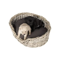 51 Degrees North Rattan Basket -Honden Benodigdheden 51 degrees north rattan basket 209954 1000 none