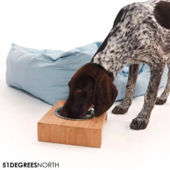 51 Degrees North Voerbak Teak High 19 51 Degrees North Voerbak Teak High -Honden Benodigdheden 51 degrees north voerbak teak high 211085 1000 none