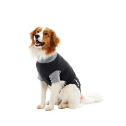 Buster Bodysuit EasyGo -Honden Benodigdheden 6773932e3a57e63016d0b474e61c6b441ce7c992ba1cd88092b192dbbedecfea 3