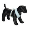 Beeztees Hondentuig -Honden Benodigdheden 682758e076537e40ee6a92bcb73ca1f83b63d74ce230a001777fa8456f17f561 5