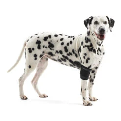 Kruuse Rehab Elleboogbeschermer -Honden Benodigdheden 707a1307f57d4b5032cf99e3784b03141ed01b9c9317fa83ee1f29943ae9e06b 4