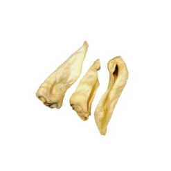 Competition Geitenoren Adult -Honden Benodigdheden 739152c17d3f9a966001e738d8accc97158ed8f8e8828c83c2652bad537110c2 3 5