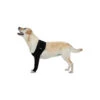 Suitical Recovery Sleeve -Honden Benodigdheden 76b4b209bc53d3247073b5749679d77b3badf5fcb7fc8c8562a27af99ee06e02 5
