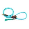 DWAM Hondenriem Turquoise -Honden Benodigdheden 7d5747836b95a8a792c7d9a2fd850bb8a185ae93c9828376555b73b6d9d7edbf 3