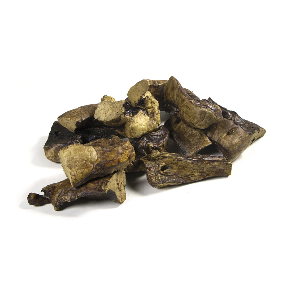 Competition Paardenlongen 3 Competition Paardenlongen