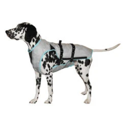 Suitical DRY Cooling Vest -Honden Benodigdheden 9499fb35b19d84b5aa93a4c86553b2fe8cb04820445bc0caa84179df38543a45 3