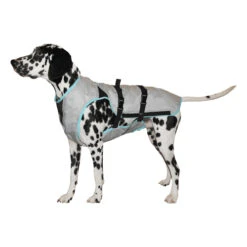 Suitical DRY Cooling Vest -Honden Benodigdheden 9fc9d6f550f0a0651c1b11f82b9a9f578f28ee2cf2a5c7894a8c9c45711efdfd 3