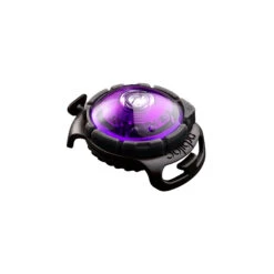 Orbiloc LED Veiligheidslamp 35 Orbiloc LED Veiligheidslamp -Honden Benodigdheden I2dLxO2nt0OnigCy32dfxXaVnFGa04 metaT3JiaWxvY19Eb2dfRHVhbF9BbGxfUHVycGxlXzAyLmpwZw
