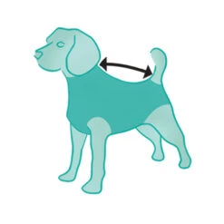 Suitical Recovery Suit Hond - Camouflage -Honden Benodigdheden ILtF02kyXAnbRr88QvQ12b6rufTPVq metacHJvZHVjdF9yZWNvdmVyeV9zdWl0X2hvbmRfbWVkcGV0c180XzE0MTQ1NjgzNTZfOTA2OS5qcGc