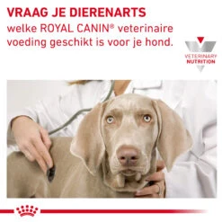 Royal Canin VCN - Mature Consult - Pouch -Honden Benodigdheden LL3VUYsaginBKbW5AnznYAIIgi9gwT metaR0FTVFJPSU5URVNUSU5BTC1ISUdILUZJQlJFLTkuanBn