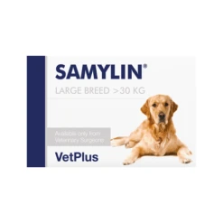 Vetplus Samylin - Tabletten 8 Vetplus Samylin - Tabletten -Honden Benodigdheden TMpWTAiSQVnLBFciegVunVUDv8tzTF metadmV0cGx1c19zYW15bGluXzIwNDUxOF8wNTAwX25vbmUucG5n