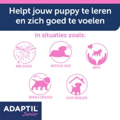 Adaptil Halsband - Junior -Honden Benodigdheden YeyWyxAVyMKjZHUQgZDeUtx9UISUUd metaQWRhcHRpbC1KdW5pb3ItY29sbGFyLUNhcm91c3NlbC0zLmpwZw