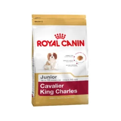 Royal Canin Cavalier King Charles Puppy - Hondenvoer 21 Royal Canin Cavalier King Charles Puppy - Hondenvoer -Honden Benodigdheden a08325876bf858d1a85320c3bfd03deb4d2dabb9d3f6d280a35d41719877bba0 3 5