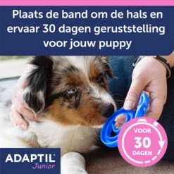 Adaptil Halsband - Junior -Honden Benodigdheden aKln5rnBRmAm6DSsJil7WMzLeFnBco metaQWRhcHRpbC1KdW5pb3ItY29sbGFyLUNhcm91c3NlbC01LmpwZw