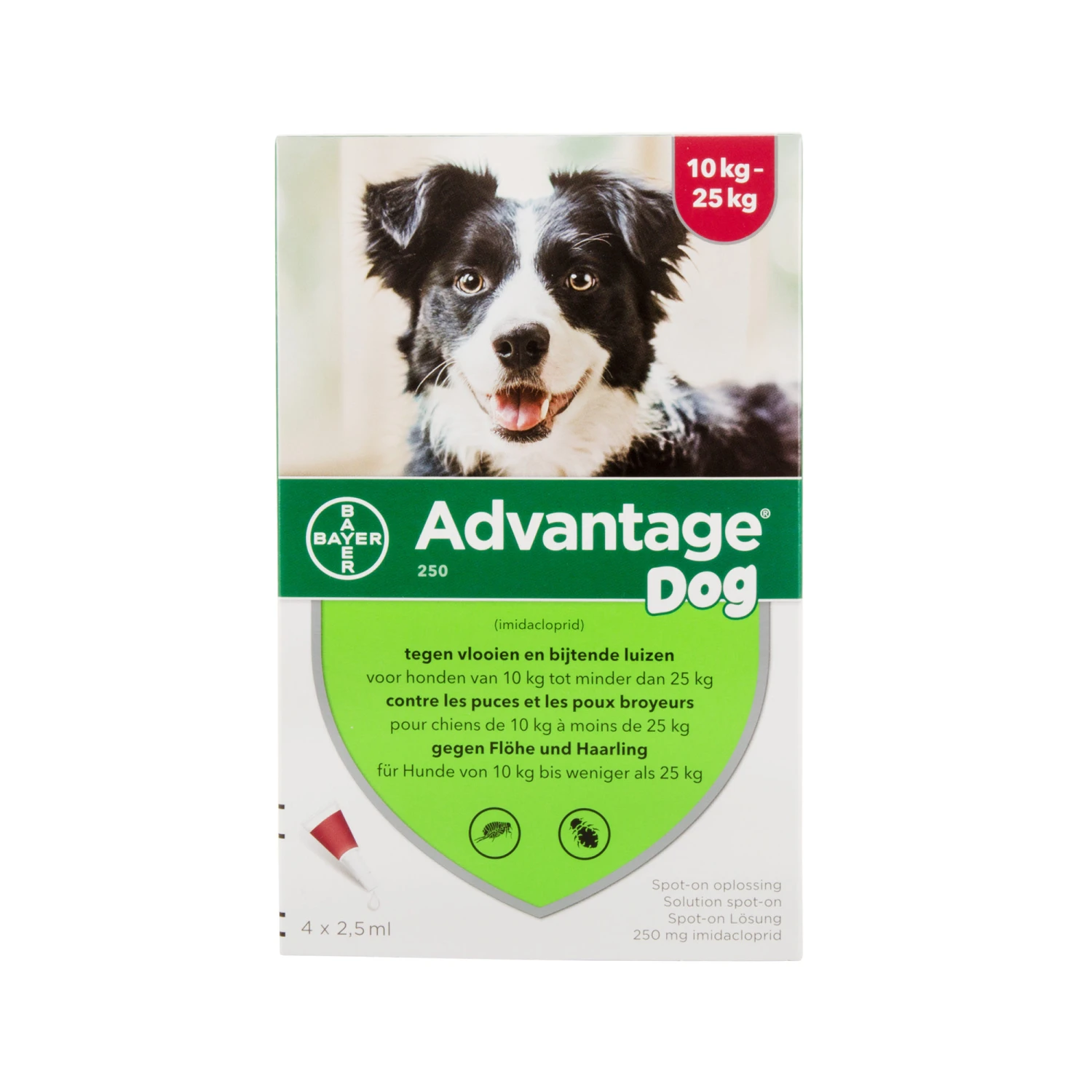 Advantage Hond - Afbeelding 12