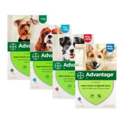 Advantage Hond -Honden Benodigdheden advantage hond 115905 2000 none