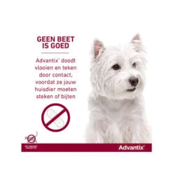 Advantix -Honden Benodigdheden advantix 174187 0500 none
