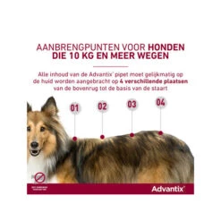 Advantix -Honden Benodigdheden advantix 174199 0500 none