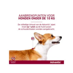 Advantix -Honden Benodigdheden advantix 174202 0500 none
