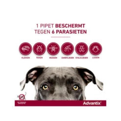 Advantix -Honden Benodigdheden advantix 174205 0500 none