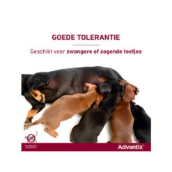 Advantix -Honden Benodigdheden advantix 174214 0500 none