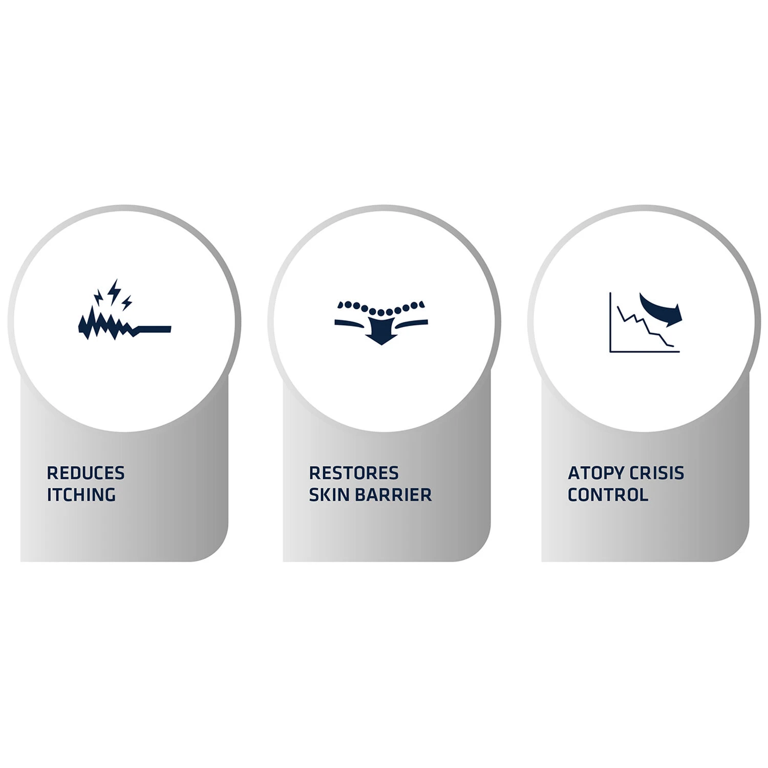 Affinity Advance Veterinary Diets Atopic Hond 8 Affinity Advance Veterinary Diets Atopic Hond - Afbeelding 6