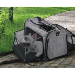 All For Paws AFP Travel Dog - Rolling Pet Carrier -Honden Benodigdheden afp travel dog rolling pet carrier 213521 0500 none