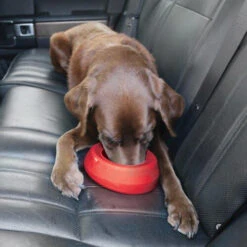 Kurgo Splash Free Wander Water Bowl -Honden Benodigdheden altranet splash free wander water bowl 222778 0500 none