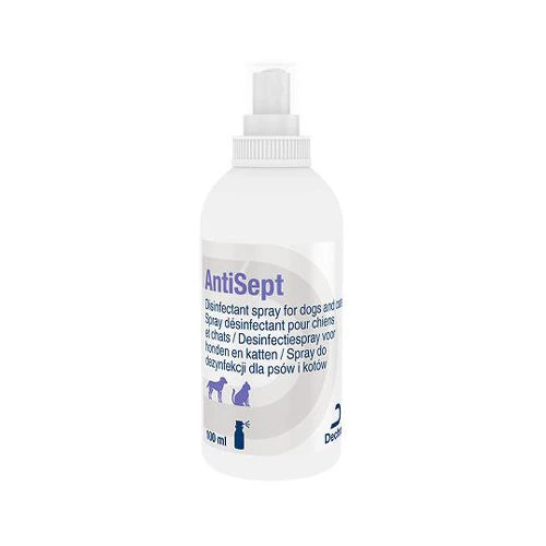 DECHRA AntiSept Desinfectiespray 5 DECHRA AntiSept Desinfectiespray - Afbeelding 3