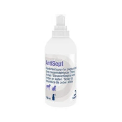 DECHRA AntiSept Desinfectiespray 6 DECHRA AntiSept Desinfectiespray -Honden Benodigdheden antisept desinfectiespray 100 ml 80285 0500 none 1