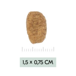 Vetality Weight Management - Hondenvoer 19 Vetality Weight Management - Hondenvoer -Honden Benodigdheden aogRFN3Gw387vvZLoZp9TskkdDc0df metadmV0YWxpdHlfd2VpZ2h0X21hbmFnZW1lbnRfX2hvbmRlbnZvZXJfMTk1NDU1XzA1MDBfbm9uZS5qcGc