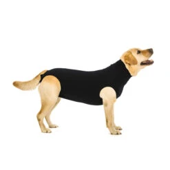 Suitical Recovery Suit Hond - Zwart 24 Suitical Recovery Suit Hond - Zwart -Honden Benodigdheden b4dd179578cef1d5d72c18019f951385b369b055cc733cb3ad8c7d326dd8f54e 3