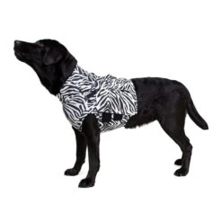Medical Pet Top Shirt - Zebraprint -Honden Benodigdheden bb59015351cf2030d372d6670fd27d43edc3af012dae6825c87454dc81b95f41 4
