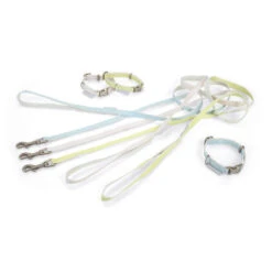 Beeztees Halsband & Lijn -Honden Benodigdheden beeztees halsband lijn 110050 0500 none