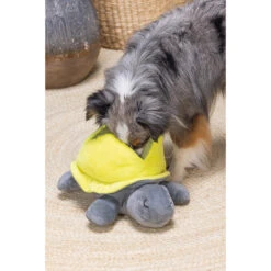 Beeztees Hide And Seek Schildo -Honden Benodigdheden beeztees hide and seek schildo 221788 2000 none