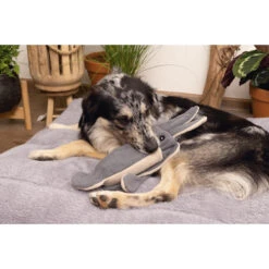 Beeztees Minus One Inktvis -Honden Benodigdheden beeztees minus one inktvis 188091 2000 none