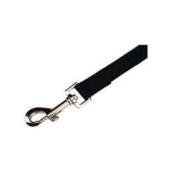 Beeztees Nylon Sliplijn -Honden Benodigdheden beeztees nylon hondenriem 198527 2000 none