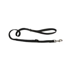 Beeztees Nylon Sliplijn -Honden Benodigdheden beeztees nylon hondenriem 198530 2000 none