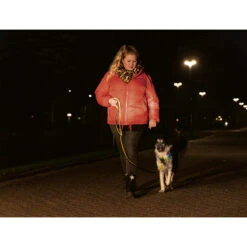 Beeztees Safety Gear Parinca Premium Halsband -Honden Benodigdheden beeztees safety gear parinca premium halsband 215009 2000 none