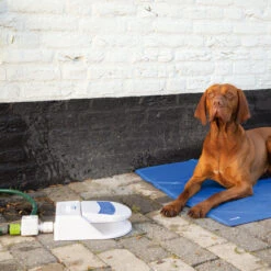 Beeztees Splashy Waterfontein -Honden Benodigdheden beeztees splashy waterfontein 163285 2000 none