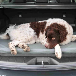 Bia Original Matras Grijs -Honden Benodigdheden bia original matras grijs 164077 0500 none